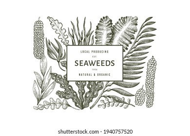 Seaweed design template. Hand drawn vector seaweeds illustration. Engraved style sea food banner. Retro sea plants background