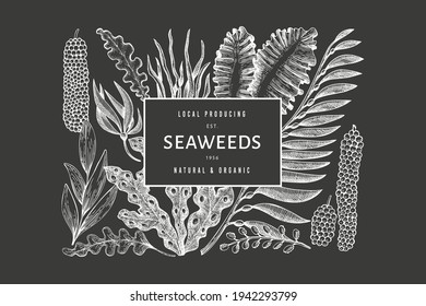 Seaweed design template. Hand drawn vector seaweeds illustration on chalk board. Engraved style sea food banner. Vintage sea plants background