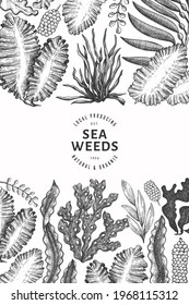 Seaweed design template. Hand drawn vector seaweeds illustration. Engraved style sea food banner. Retro sea plants background