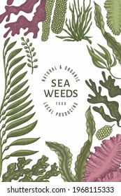 Seaweed design template. Hand drawn vector seaweeds illustration. Engraved style sea food banner. Retro sea plants background