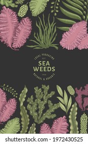 Seaweed design template. Hand drawn vector seaweeds illustration. Engraved style sea food banner. Retro sea plants background