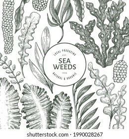 Seaweed design template. Hand drawn vector seaweeds illustration. Engraved style sea food banner. Retro sea plants background