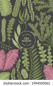 Seaweed design template. Hand drawn vector seaweeds illustration. Engraved style sea food banner. Retro sea plants background