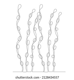 seaweed drawing in one continuous line, isolated vector