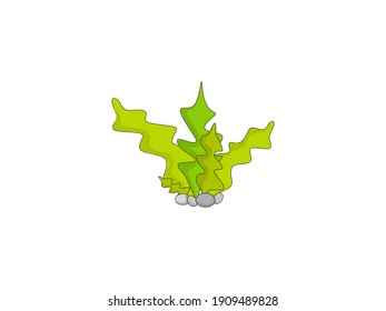 Seaweed drawn in a cartoon style. Vector illustration.