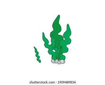 Seaweed drawn in a cartoon style. Vector illustration.