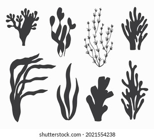 Sea Corals Silhouette Stock Vector (Royalty Free) 608587079 | Shutterstock