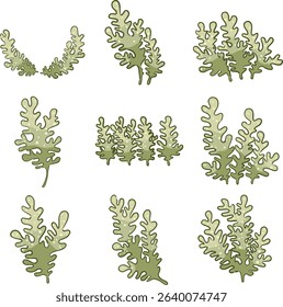 Seaweed flat design illustration for decoration on aquarium , ocean, marine life and food concept