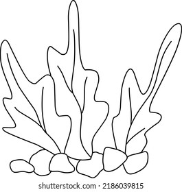 Seaweed, Foliage, Hand-drawn doodles illustration.
Line art