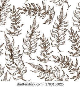 Seaweed foliage, royal fern tropical plant leaves seamless pattern. Exotic botany, exotic flora for decoration. Subtropical leafage. Seasonal flower. Monochrome sketch outline, vector in flat style