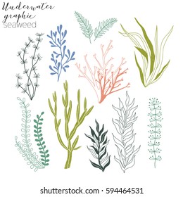 seaweed graphic collection