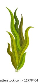 Seaweed green on a white background. Medicinal food additive spirulina. Cartoon style. Medication. Vector illustration