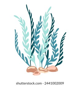 Seaweed. Hand drawn algae colorful seaweed. Underwater plants. Modern flat illustration. Vector illustration