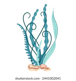 Seaweed. Hand drawn algae colorful seaweed. Underwater plants. Modern flat illustration. Vector illustration