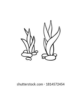 Seaweed icon hand drawn. On a white background. Vector illustration.