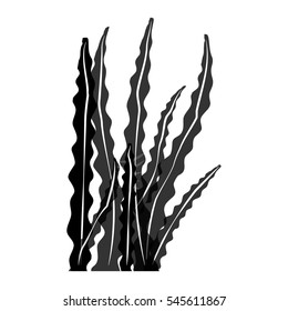 seaweed icon over white background. vector illustration