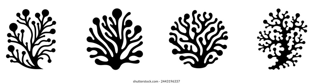 Seaweed icon. Set of black algae icons. Sea plants icon isolated on white background. Vector illustration