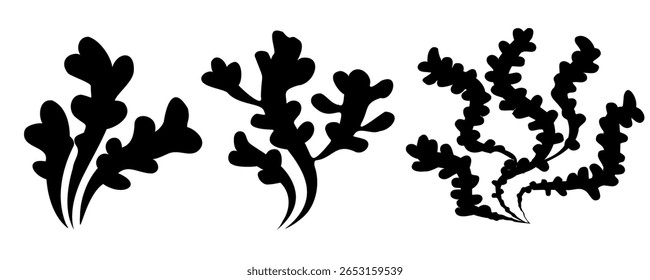 Conjunto de ícones de algas. Algas marinhas, plantas de corais de recifes, silhuetas orgânicas negras de algas marinhas oceânicas, padrão subaquático