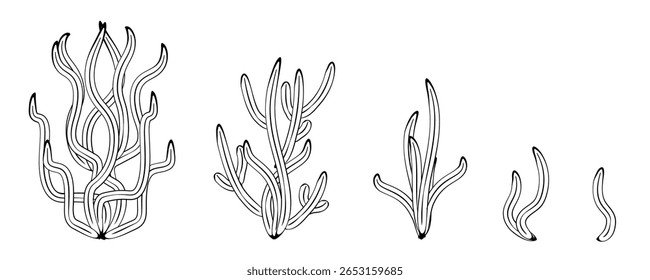Conjunto de ícones de algas. Algas marinhas, plantas de corais de recifes, silhuetas orgânicas negras de algas marinhas oceânicas, padrão subaquático, ilustração vetorial de linha