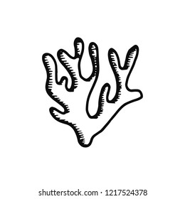 seaweed icon. sketch isolated object black.
