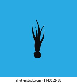 seaweed icon vector