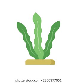 seaweed icon vector design template in white background