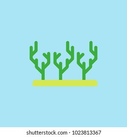 seaweed icon. vector illustration seaweed