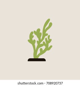 seaweed icon. vector illustration