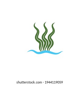 web de la plantilla de diseño de ilustraciones vectoriales de iconos de algas marinas
