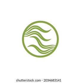 web de la plantilla de diseño de ilustraciones vectoriales de iconos de algas marinas