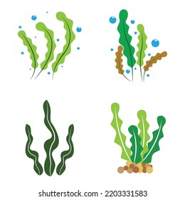 seaweed icon vector logo ilustration