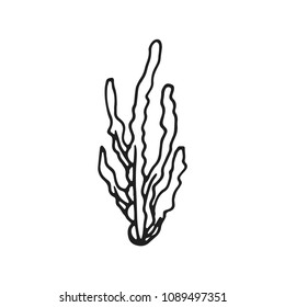 seaweed icon vector sketch isolated.