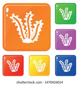 Seaweed icons set collection vector 6 color isolated on white background