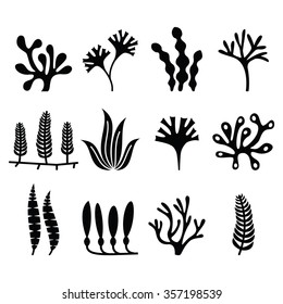 Seaweed icons set - nature, food trends concept 