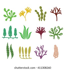 Seaweed icons set - nature, food trends concept 