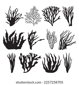 Seaweed illustrated silhouette, stencil templates set, objects for printing sublimation svg