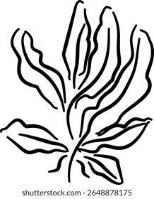 Seaweed illustration for natural packaging botanical label eco branding ocean productsVector illustration