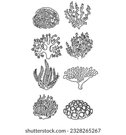 seaweed, illustration, sea, vector, water, marine, ocean, nature, aquatic, plant, underwater, aquarium, reef, decoration, leaf, algae, background, art hand drawn doodle illustrations vector set