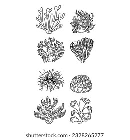 seaweed, illustration, sea, vector, water, marine, ocean, nature, aquatic, plant, underwater, aquarium, reef, decoration, leaf, algae, background, art hand drawn doodle illustrations vector set