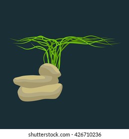 Seaweed, isolated colorful corals and algae, Vector underwater flora, fauna.