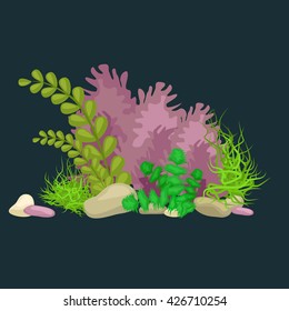 Seaweed, isolated colorful corals and algae, Vector underwater flora, fauna.