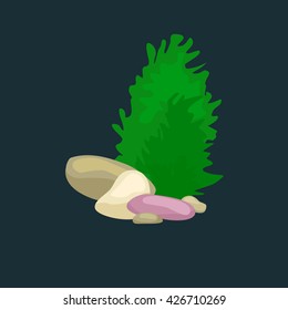 Seaweed, isolated colorful corals and algae, Vector underwater flora, fauna.