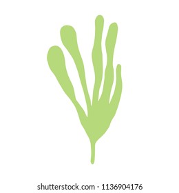 seaweed is isolated hand-made picture. on a white background.