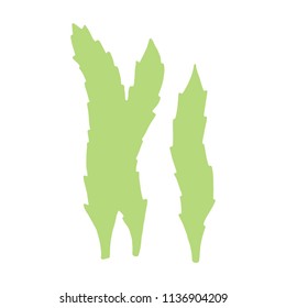 seaweed is isolated hand-made picture. on a white background