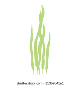 seaweed is isolated hand-made picture. vector on white background