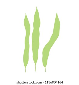 seaweed is isolated hand-made picture. vector on white background. marine plant