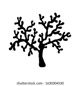 Seaweed  isolated object. marine plant icon. Vector