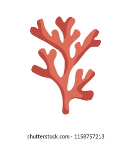 seaweed in isolation. colored marine plant