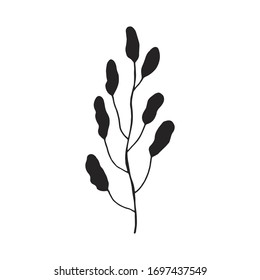 seaweed in isolation. on white background sketch silhouette