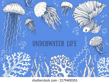 Seaweed, jellyfish and coral vector illustration. Underwater life. Hand drawn sketch. Vector illustration. Design template. Underwater world hand drawn.